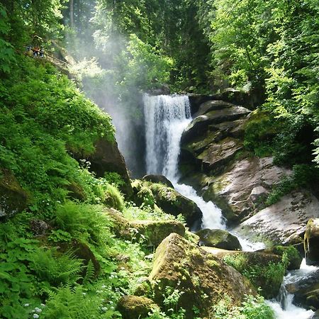 Rita - Atemberaubenden Wasserfaelle Triberg im Schwarzwald Екстериор снимка