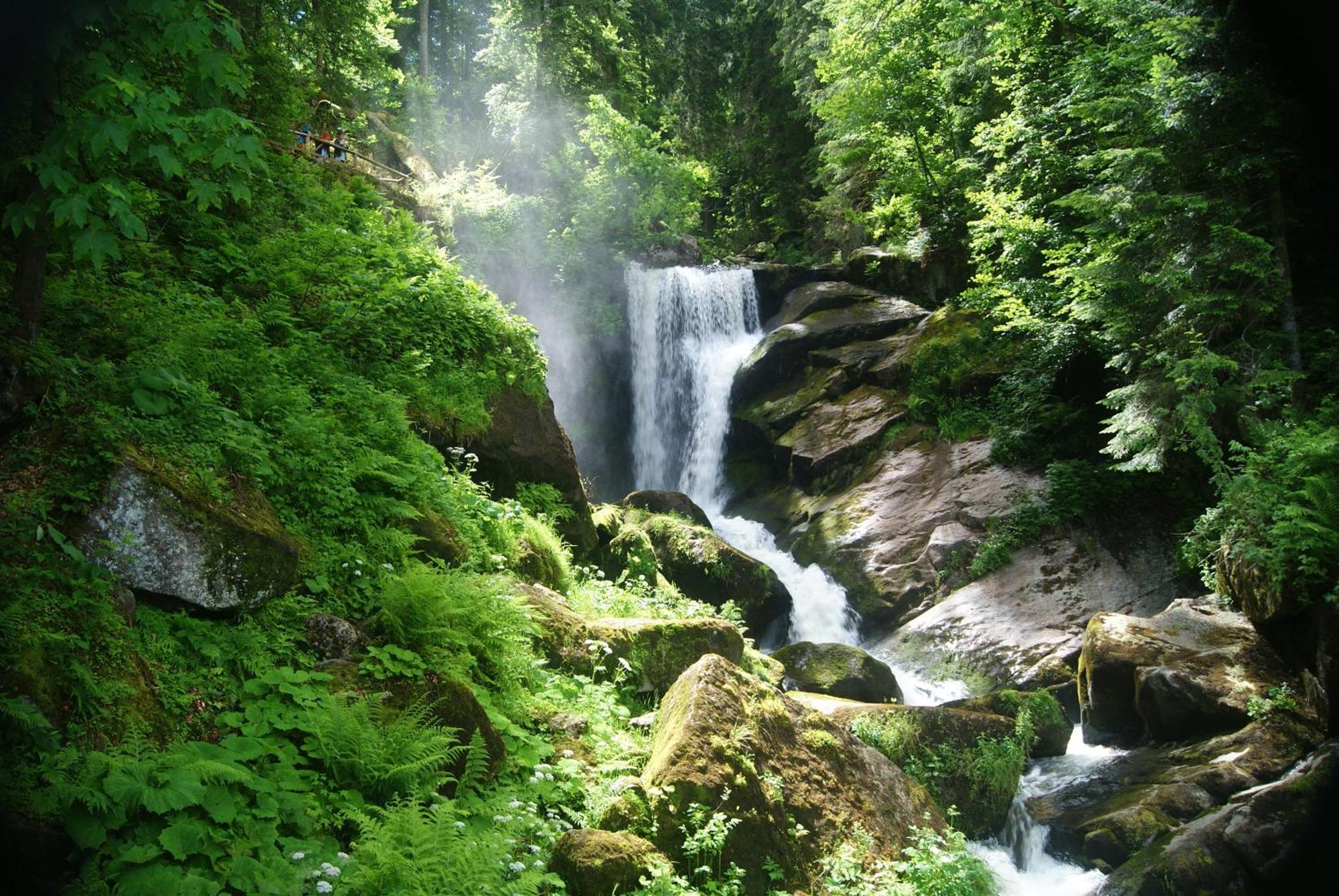 Rita - Atemberaubenden Wasserfaelle Triberg im Schwarzwald Екстериор снимка